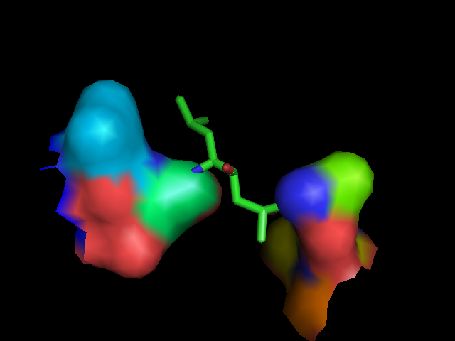 Pdb.1FKN.bdg ligC.surface   -  (Pymol)