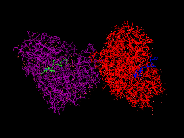 Pdb.1FKN.deutlich   -  (Pymol)