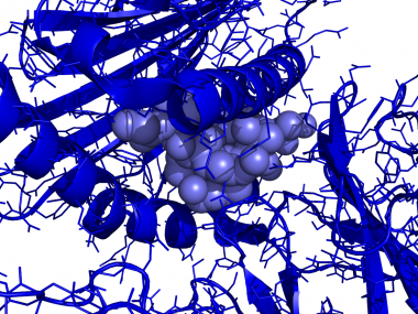 HLAA.TCR.Peptid   -  (Pymol)